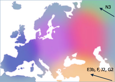 haplogroup2.jpg